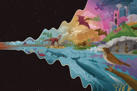 Different animals in different ecosystems emitting noise.