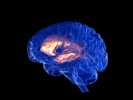 Illustraion of the human brain, lit from within