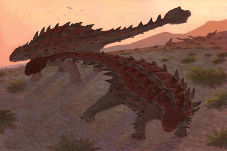 Illustration of two Zuul engage in combat