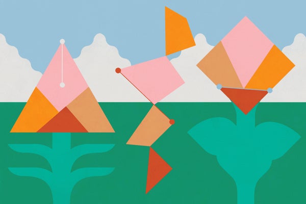 Illustration of Shape shifting polygons