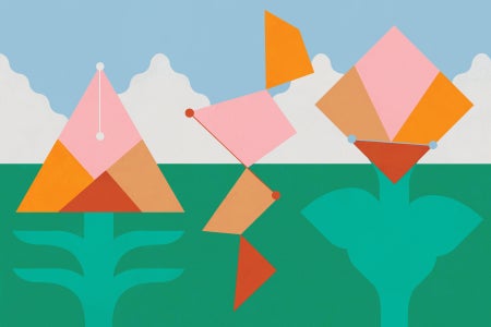 Illustration of Shape shifting polygons