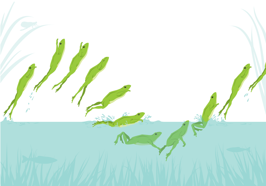 Graphic shows the frog's belly flop action broken down into 10 frames.